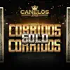 CORRIDOS SOLO CORRIDOS album lyrics, reviews, download