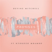 Promises (feat. Ntokozo Mbambo) artwork