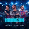 Caminhãozinho (Ao Vivo) - Single, 2023