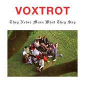 Voxtrot - They Never Mean What They Say