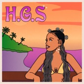 H.G.S artwork