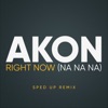 Right Now (Na Na Na) [Sped Up] - Single