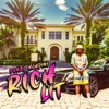 Ponzo Houdini - Rich Lit (Radio Edit)