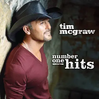 last ned album Tim McGraw - Number One Hits