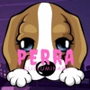 Perra - Single