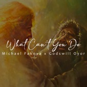 What Can't You Do (feat. Godswill Oyor) artwork