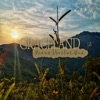 Graceland - Single