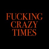 Fucking Crazy Times artwork