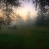 Sunrise - Single