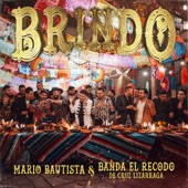 Brindo artwork