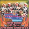 Homenaje al Trio Armonia Huasteca