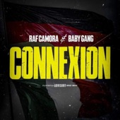 Connexion artwork