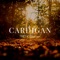 Cardigan (Tiktok Version) [Remix] artwork