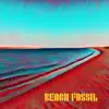 Beach Fossil - Single album lyrics, reviews, download