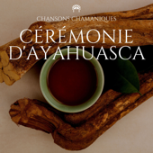 Cérémonie d'ayahuasca - Chansons Chamaniques