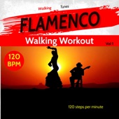 Flamenco Walking Tunes Vol.1 artwork