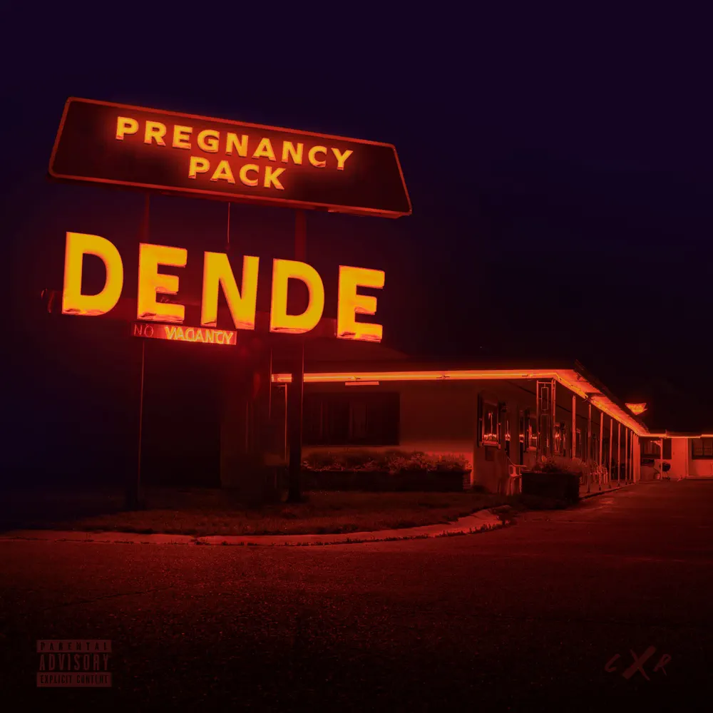Dende - Pregnancy Pack (BEEN iLL)