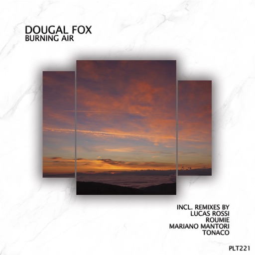 Burning Air (Short Edit) - EP by Dougal Fox
