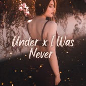 Renegade x Under x I Was Never (Slowed + Reverb) artwork