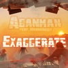 Exaggerate (feat. Wannanelly) - Single
