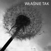 Właśnie Tak - Single