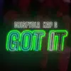 Got It (feat. Kap G) [Radio Edit] - Single album lyrics, reviews, download