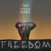 Freedom - Single