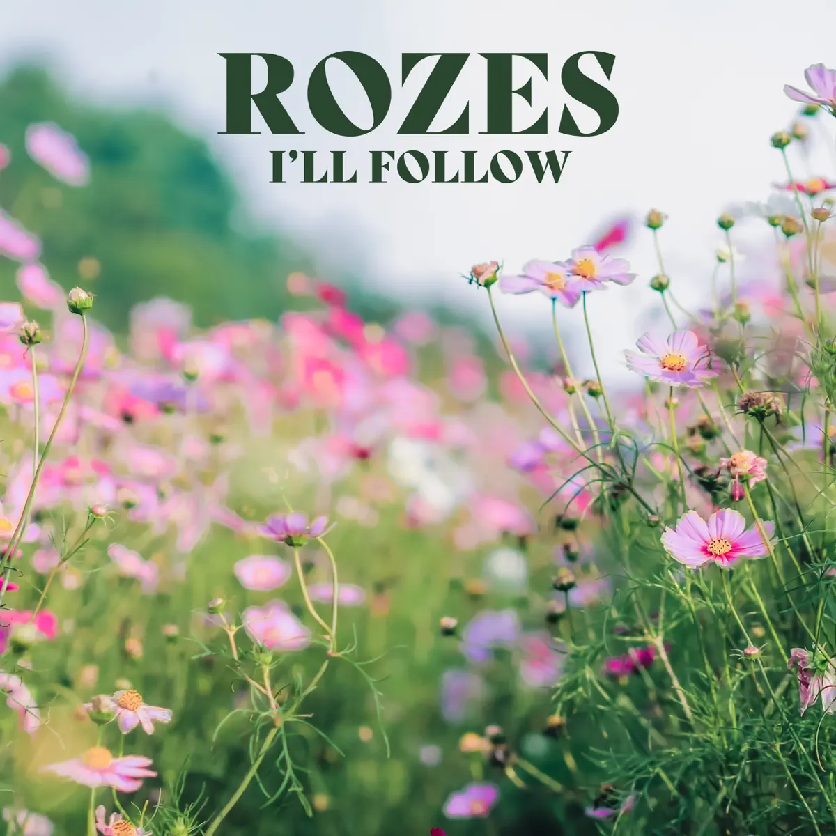 ROZES - I'll Follow - Single (2023) [iTunes Plus AAC M4A]-新房子