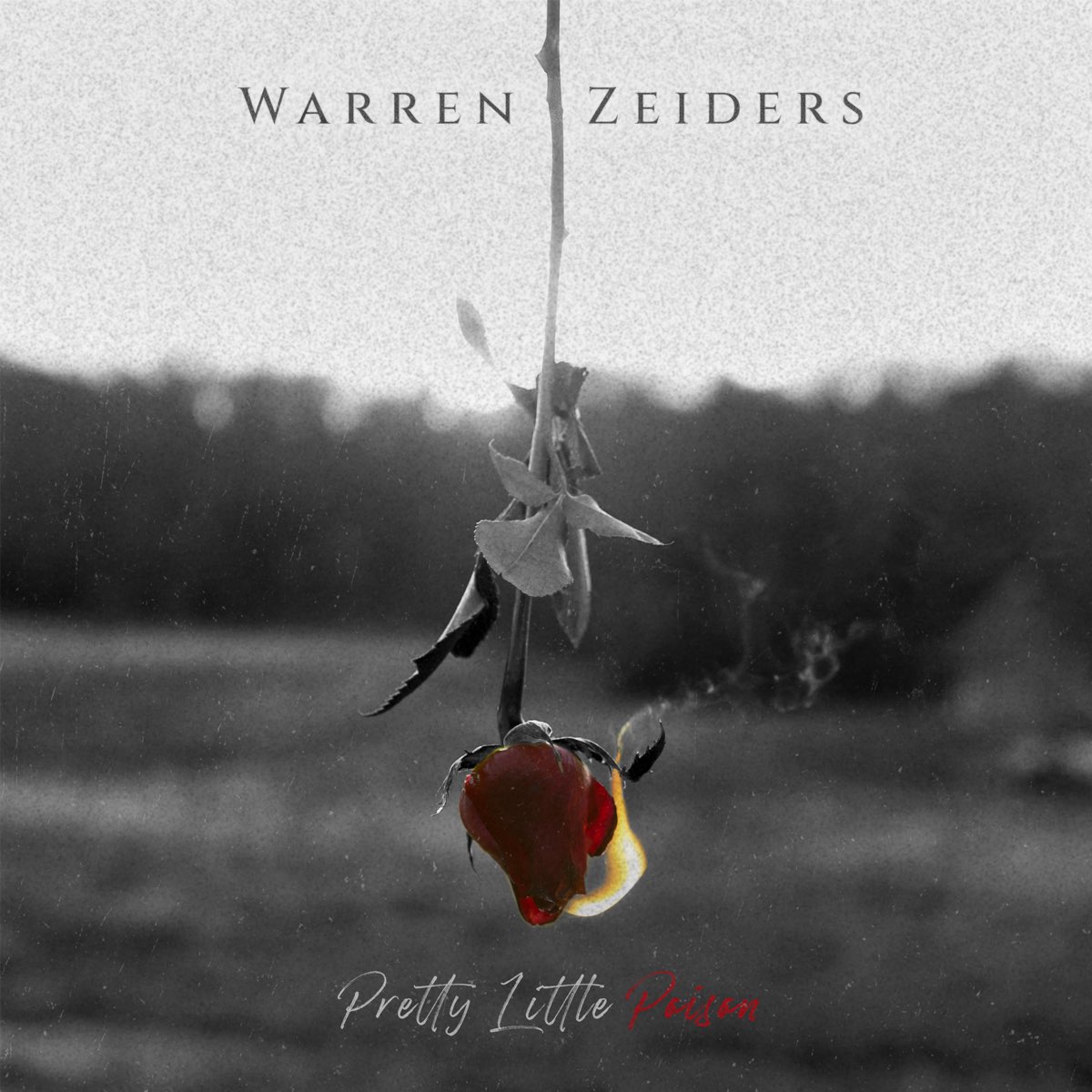 Apple Music Warren Zeiders Pretty Little Poison Single   1200x1200bf 60 