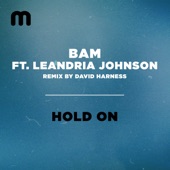 Hold On (feat. Le'Andria Johnson) [David Harness Instrumental Remix] artwork