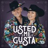 Usted Me Gusta - Single