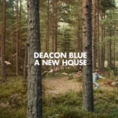 Deacon Blue - Win