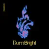 Burn Bright - EP album lyrics, reviews, download