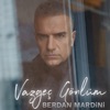 Vazgeç Gönlüm - Single