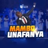 Mambo Unafanya - Single