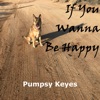 If You Wanna Be Happy - Single