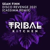 Disco Revenge 2021 (CASSIMM Radio Edit) artwork