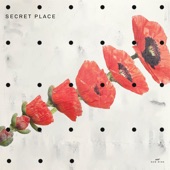 Secret Place (Live) artwork