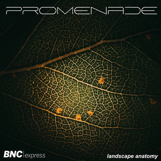 Landscape Anatomy - Single by Promenade