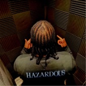 Hazardous - My America