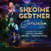 Shloime Gertner in Jerusalem artwork