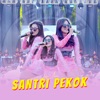 Santri Pekok - Single