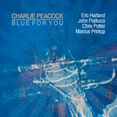 Charlie Peacock - Blue For You (feat. Eric Harland, John Patitucci, Chris Potter & Marcus Printup)