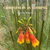 Fiona Joy Hawkins - Christmas Is Coming