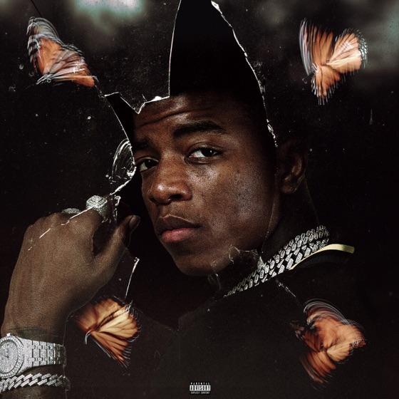 Cover artwork for Caterpillars to Butterflies