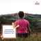 Lifetime Comfort - Paul Peace Meditation Library lyrics