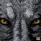 Wolf's Reign (feat. M-16 thegreat) - Konami Homi lyrics