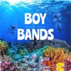 Boy Bands Pop (Remix) - Single