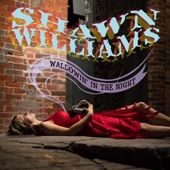 Shawn Williams - Fireworks