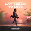 Not Afraid to Love - Single